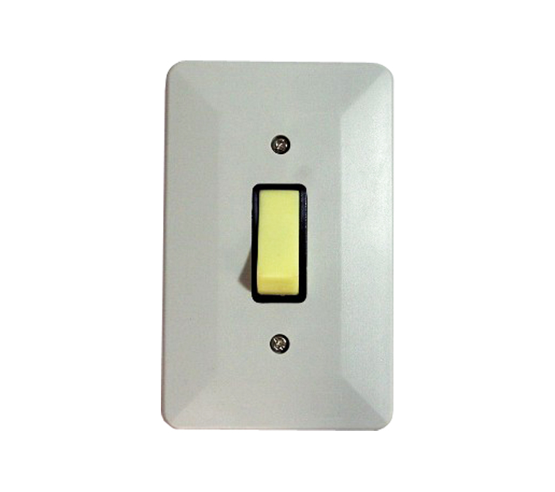 Interruptor 1Ss 10A 250V 1100 Cz C/P Alu 1