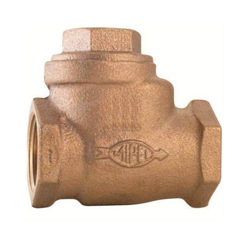 Valvula Ret Br B62 125# 1 Npt Mip 1